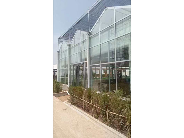 內蒙呼和浩特和林格爾縣舍必崖鄉(xiāng)玻璃溫室